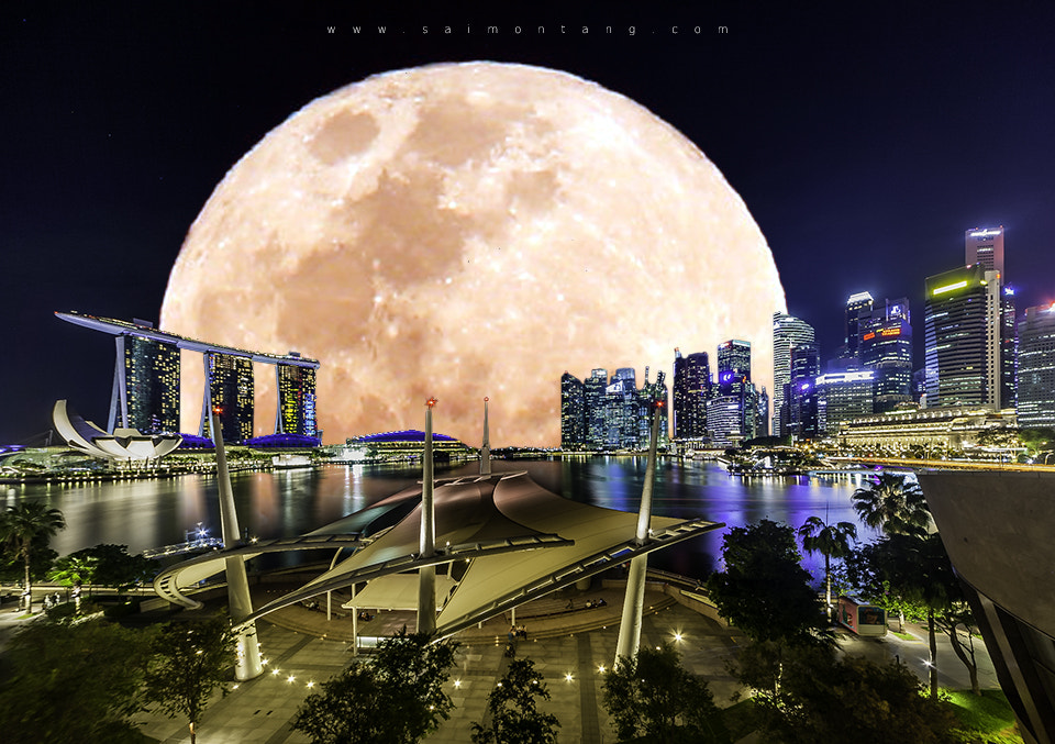 Canon EOS 5D sample photo. Supermoon dream photography
