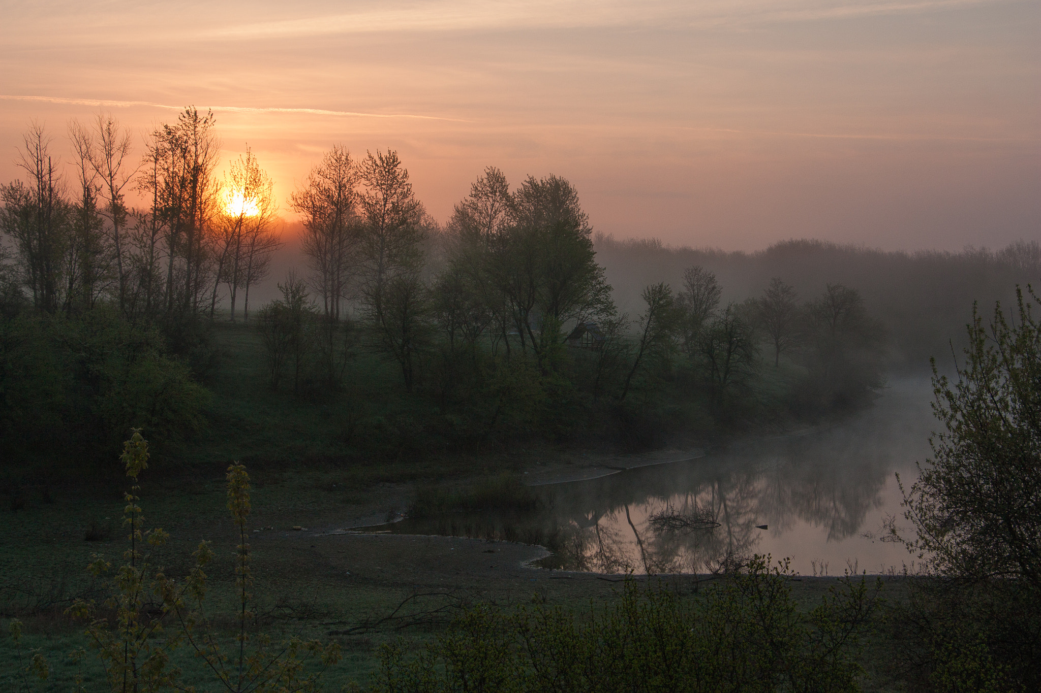Canon EOS 450D (EOS Rebel XSi / EOS Kiss X2) sample photo. Summer morning photography