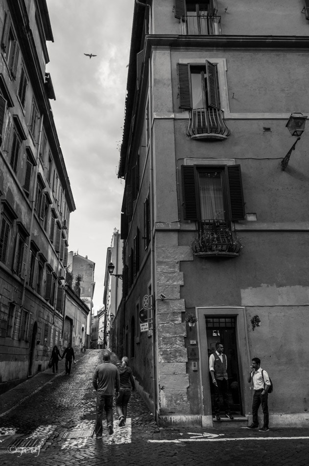 Nikon D300 sample photo. Strada. photography