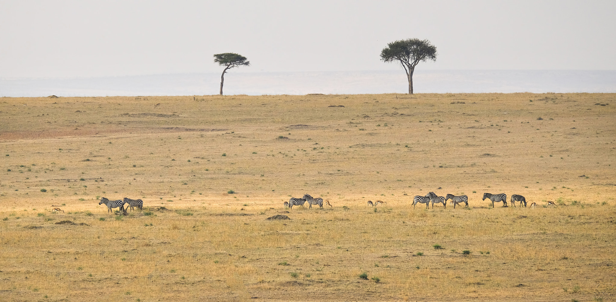 Fujifilm X-E2 sample photo. African landscape photography