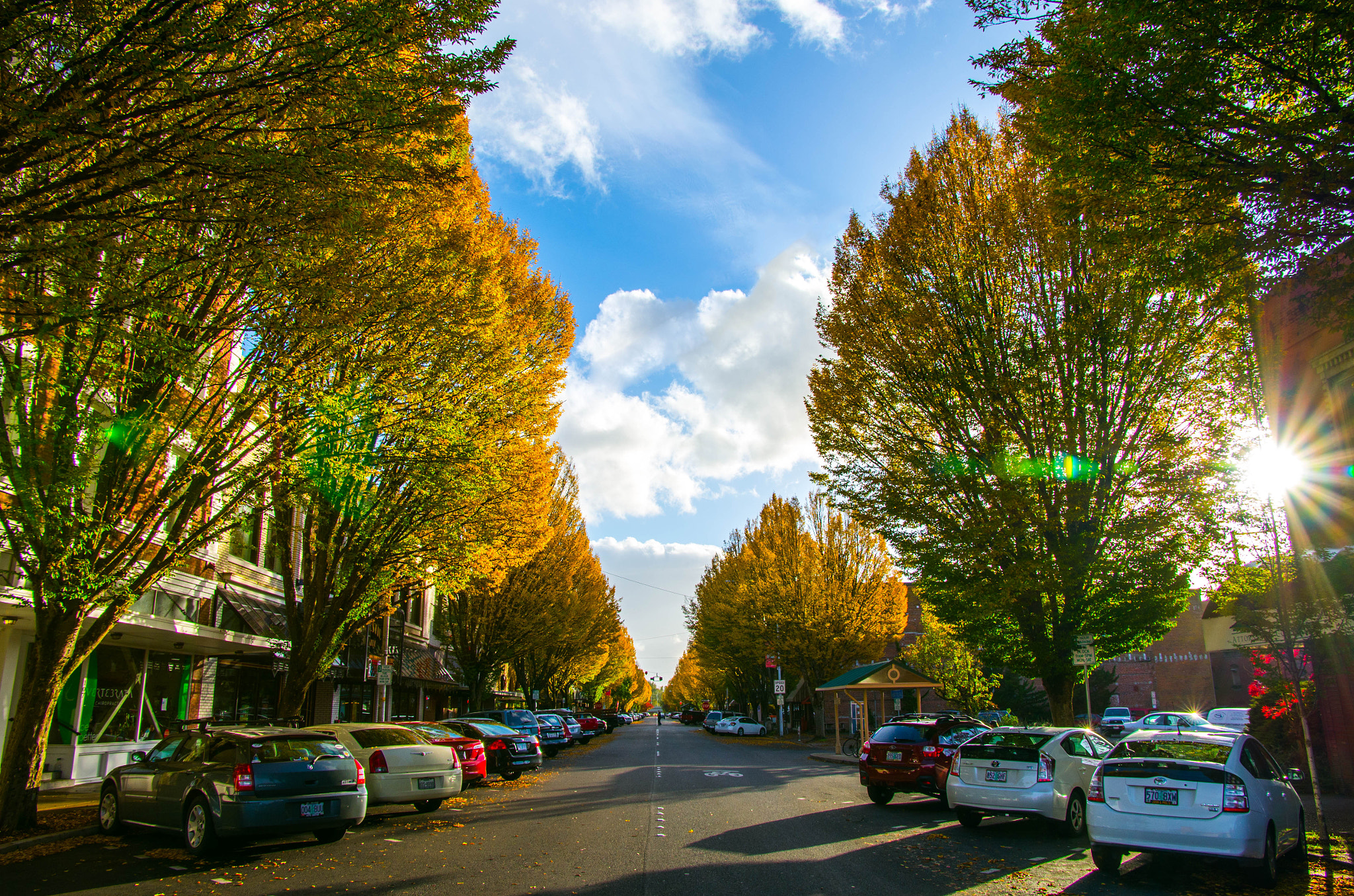 Pentax smc DA* 16-50mm F2.8 ED AL (IF) SDM sample photo. Corvallis downtown, fall photography