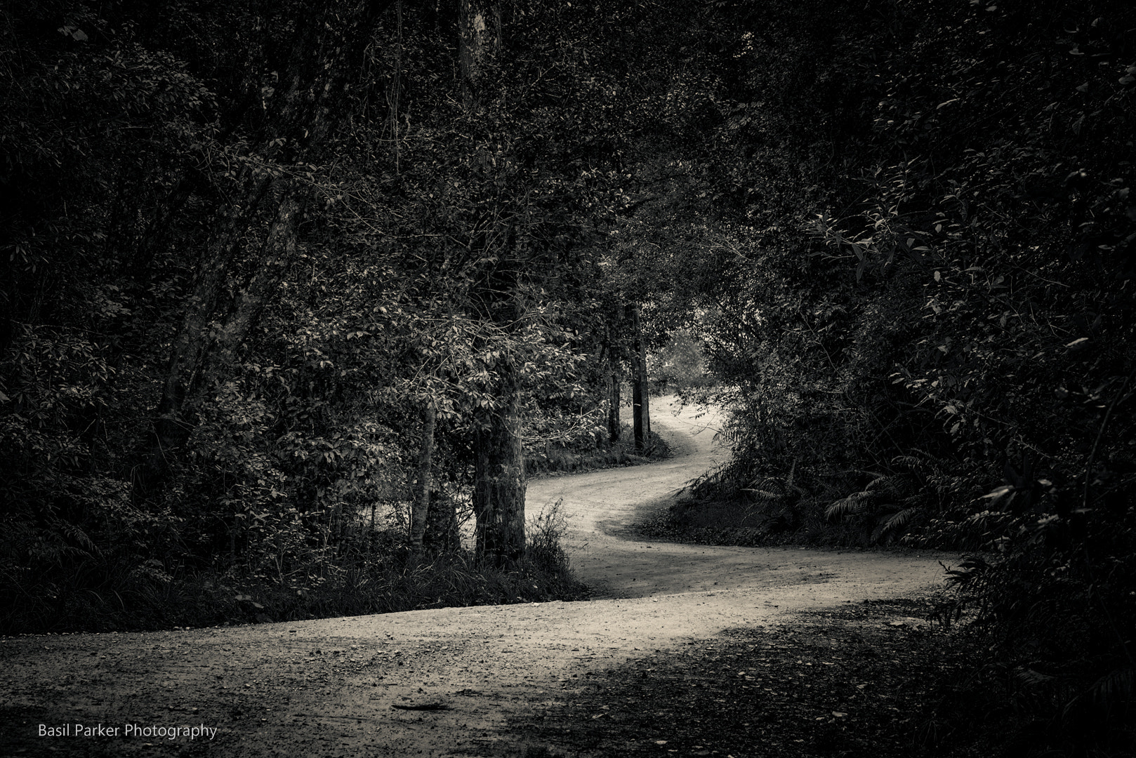 Sony a7R + Sony 70-400mm F4-5.6 G SSM sample photo. Circles in the forest photography