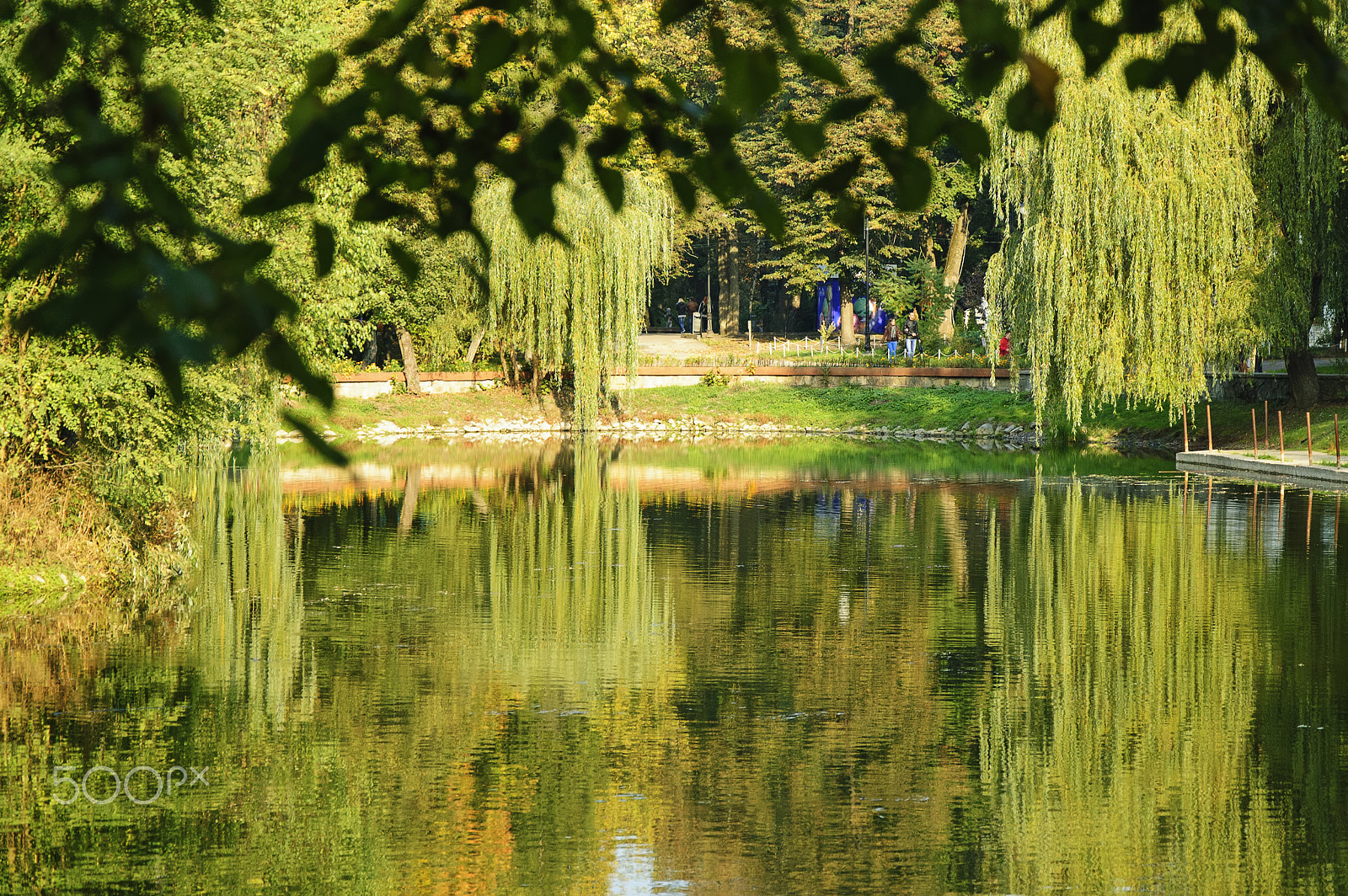 Nikon D40 sample photo. The pond photography