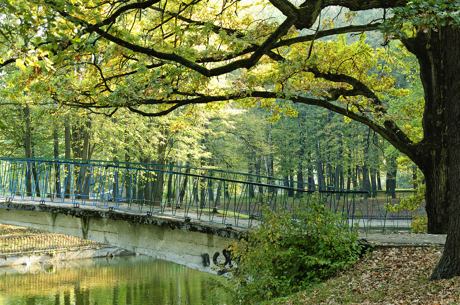 Nikon D40 sample photo. The park photography