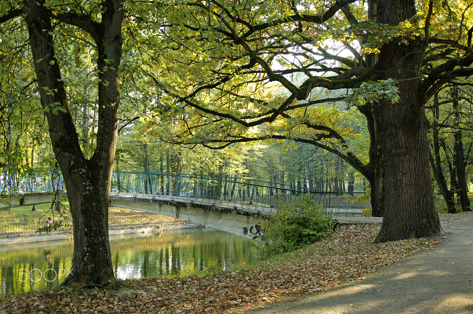 Nikon D40 sample photo. The park photography