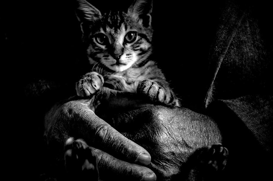 Nikon D300 sample photo. For cartoonist musa... photography