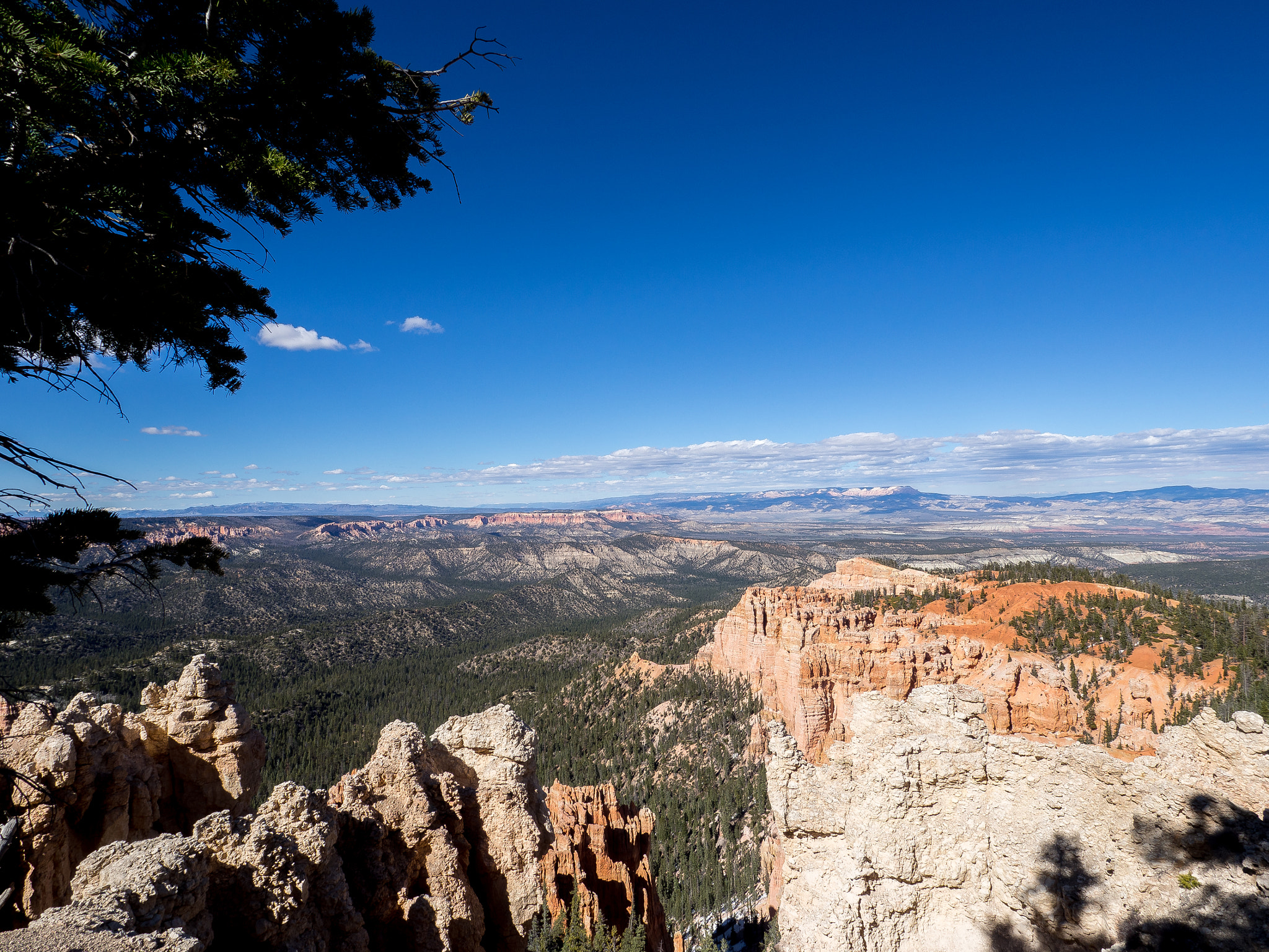 Olympus OM-D E-M10 sample photo. Bryce canyon photography