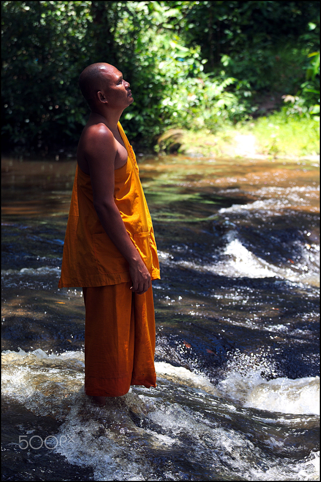 Canon EOS-1D Mark III sample photo. Zen photography