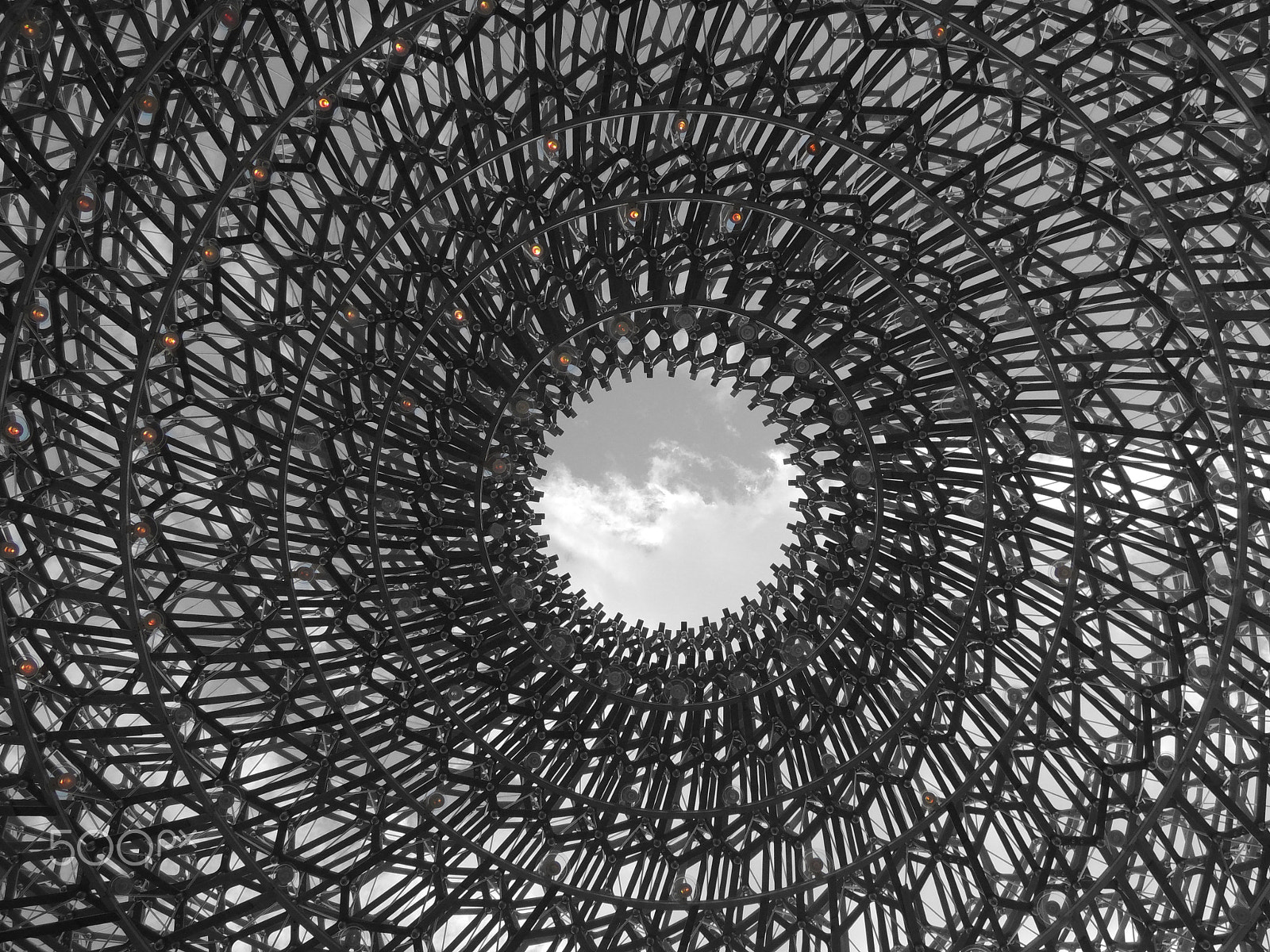 Nikon Coolpix P310 sample photo. Honeycomb structure photography