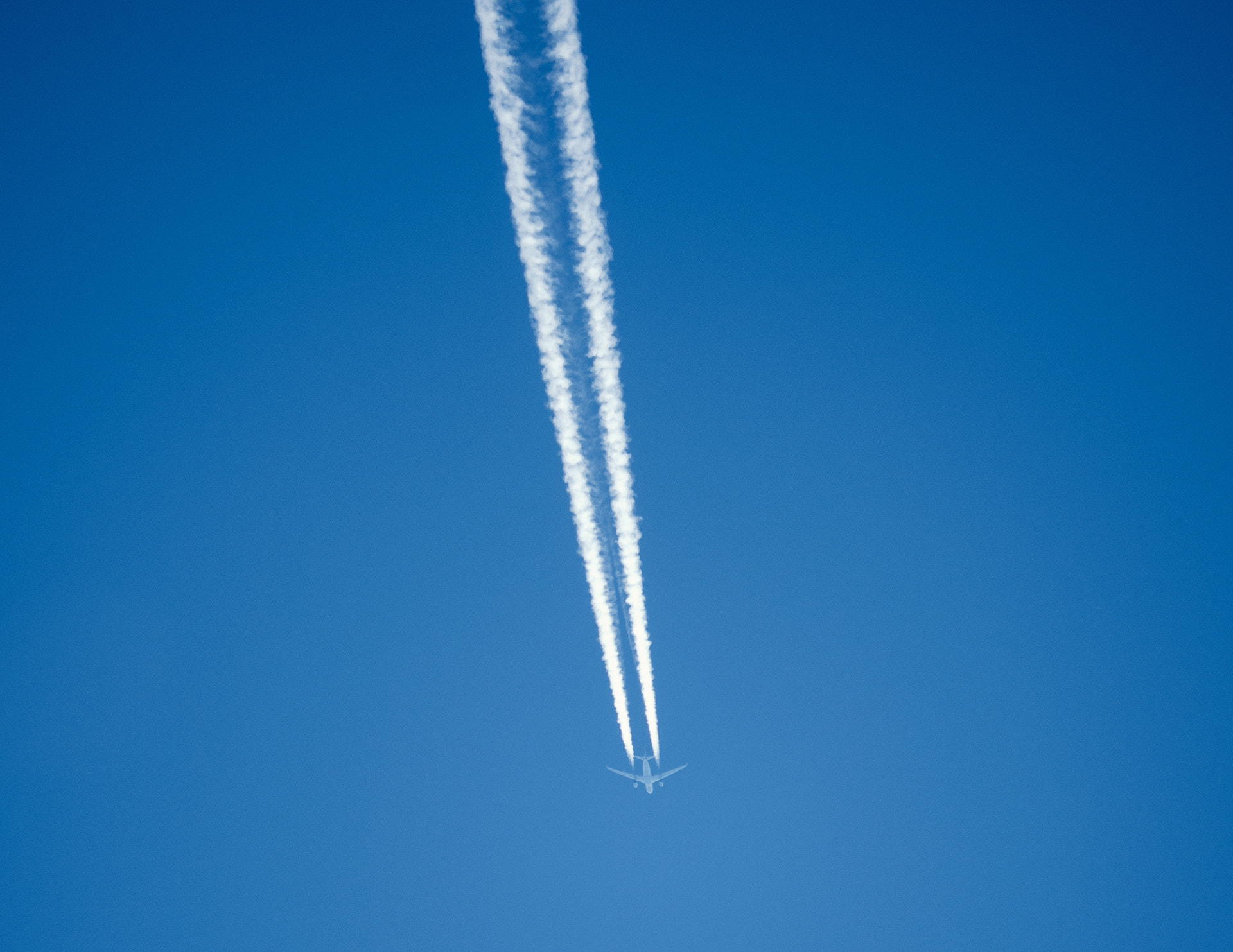 Panasonic Lumix DMC-GX8 sample photo. Fear of flying photography