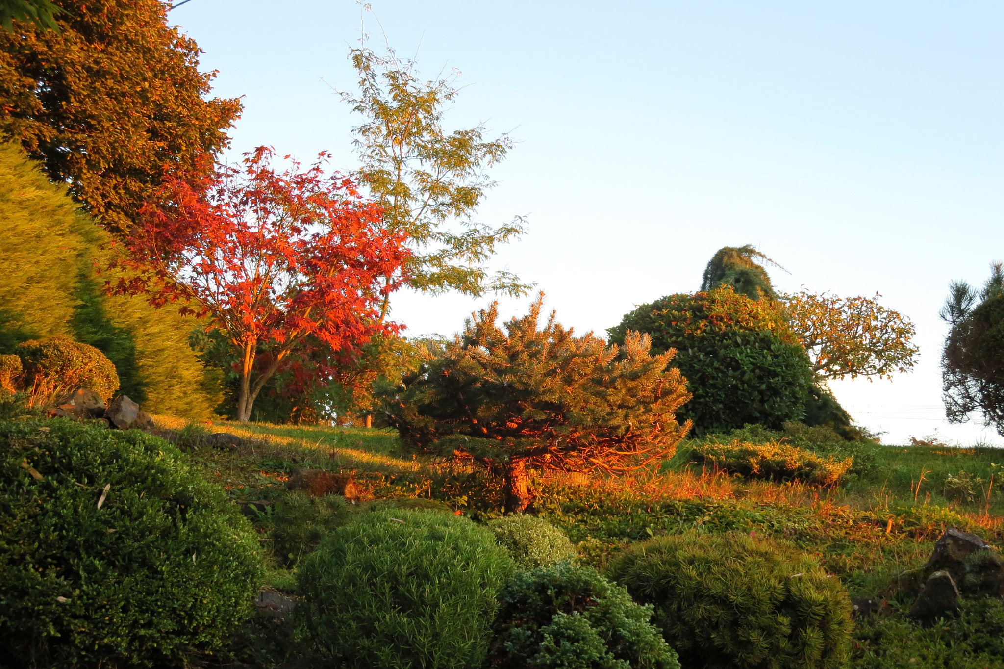 Canon PowerShot ELPH 330 HS (IXUS 255 HS / IXY 610F) sample photo. Garden in the fall photography