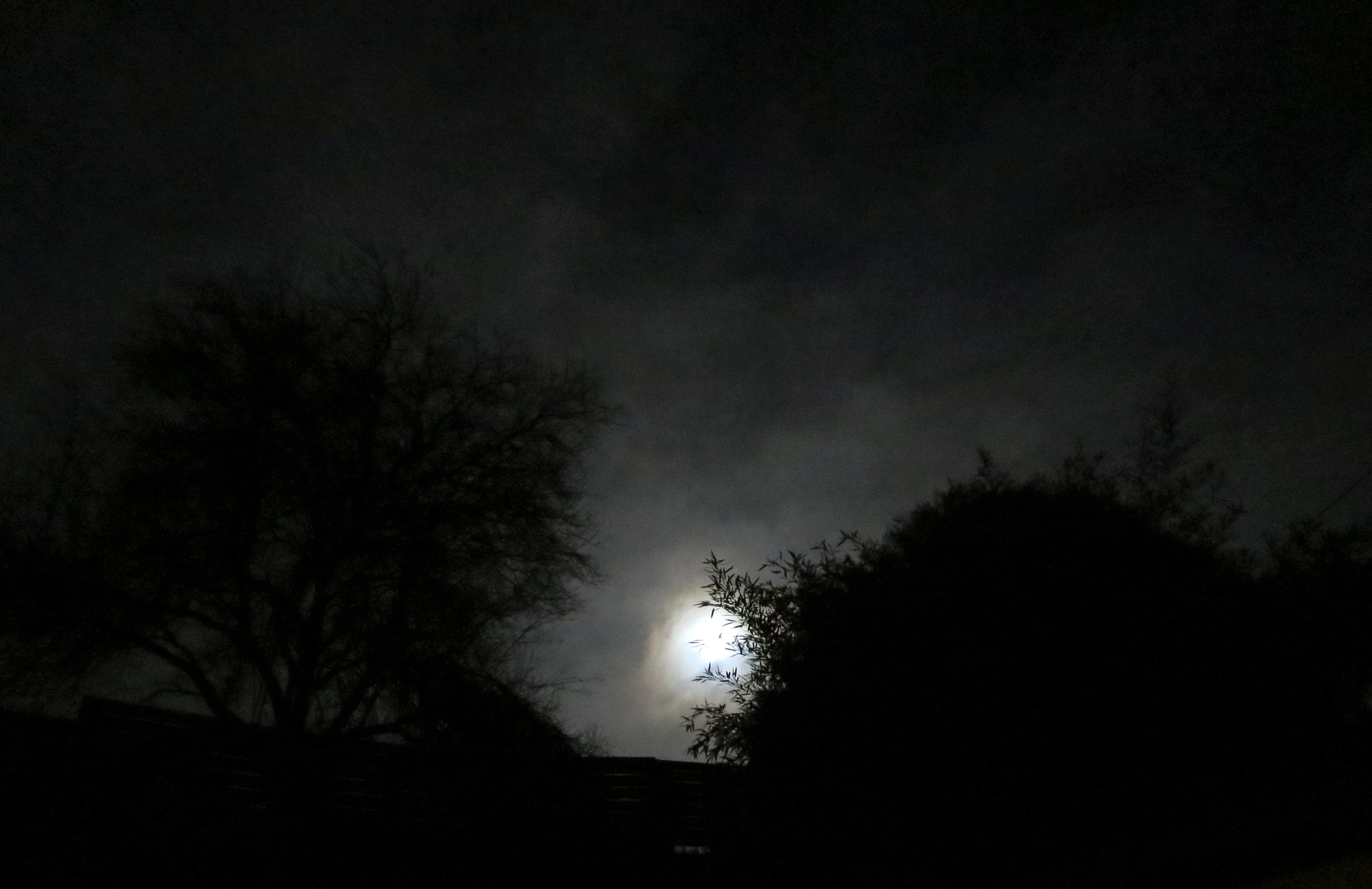 Canon PowerShot ELPH 330 HS (IXUS 255 HS / IXY 610F) sample photo. Supermoon toucy photography