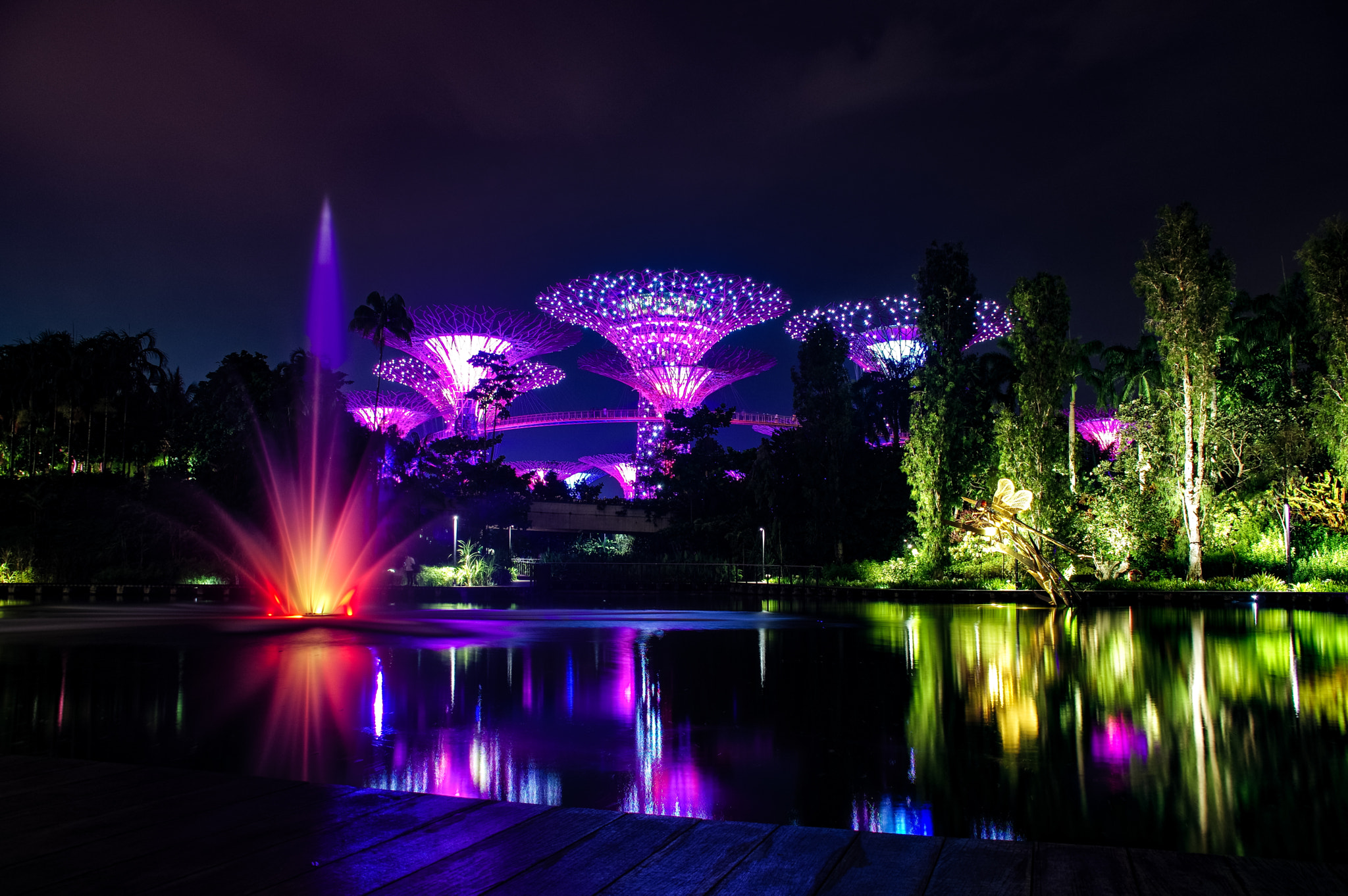 Sigma 18-300mm F3.5-6.3 DC Macro HSM sample photo. Gardens by the bay singapore photography