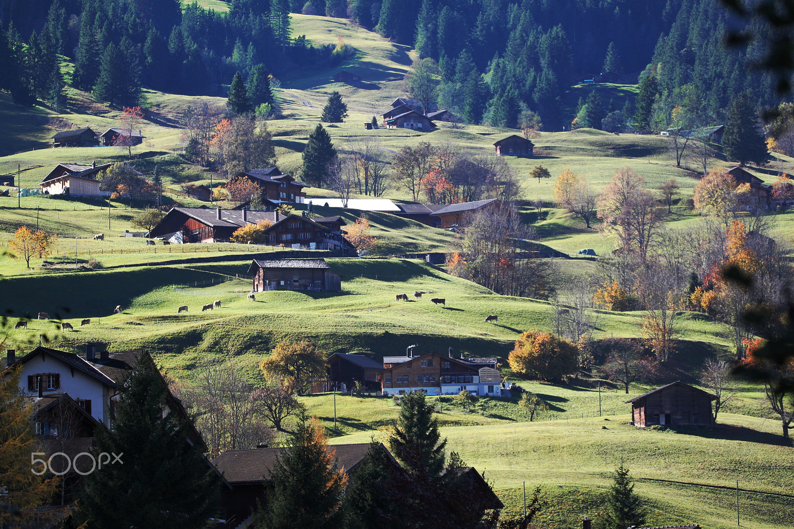 Tamron SP 150-600mm F5-6.3 Di VC USD sample photo. The swiss alps photography