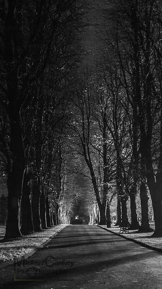 Canon EOS 5D sample photo. Dark path photography