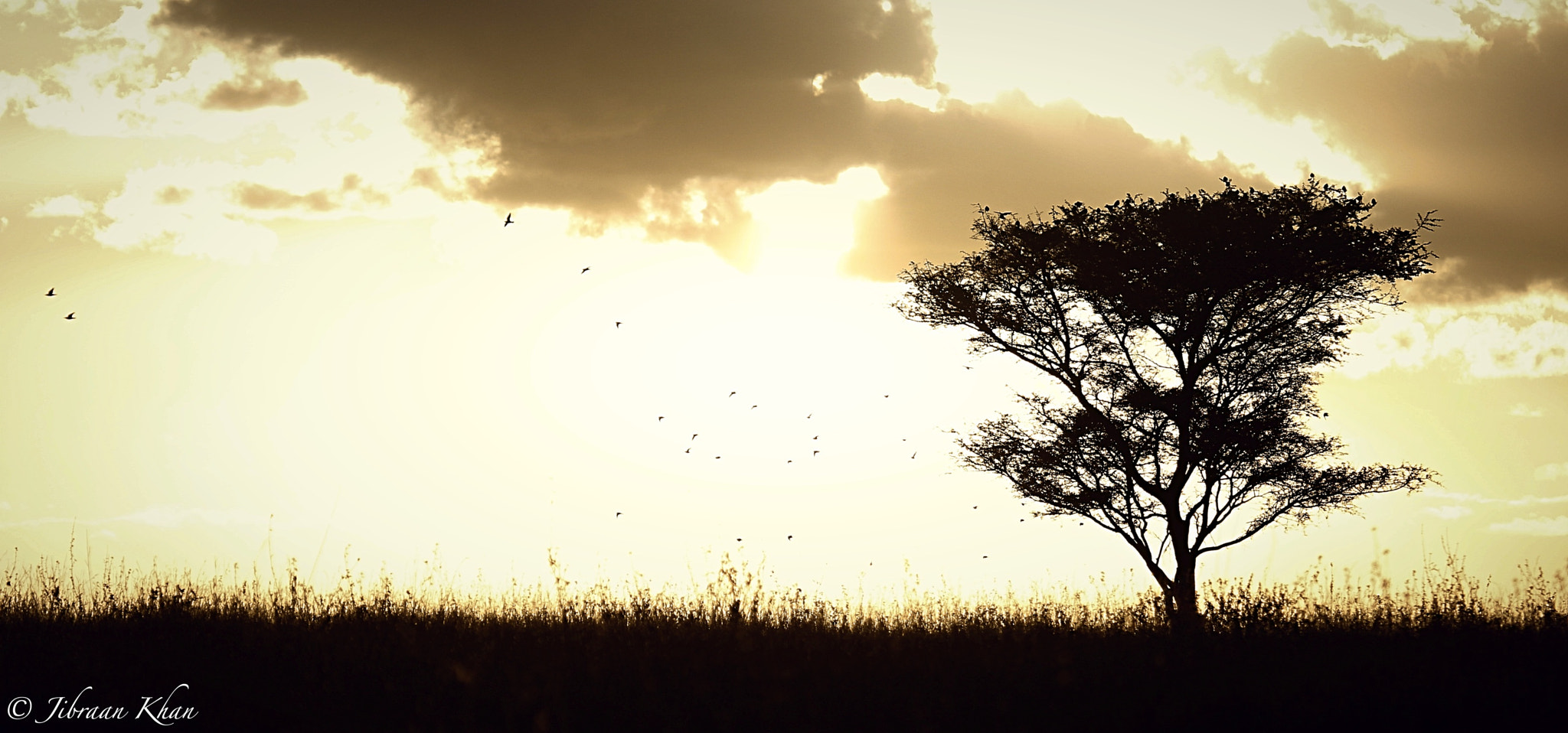 Canon EF 100-400mm F4.5-5.6L IS USM sample photo. Natures silhouettes  photography