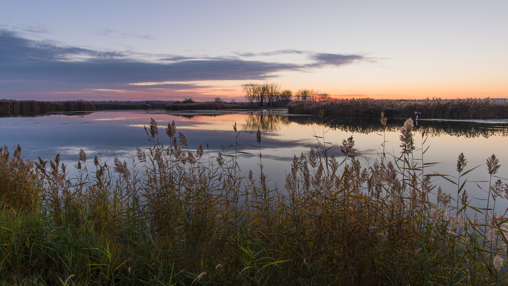 Nikon Df sample photo. Sunset photography