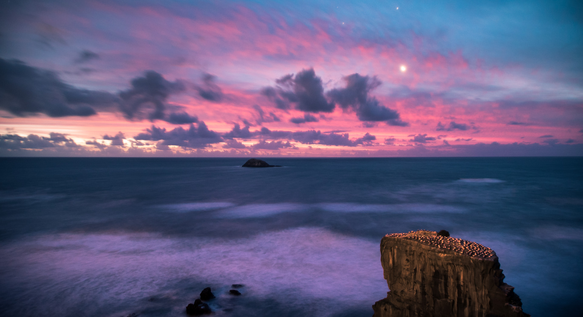 Sony a7S + Tamron 18-270mm F3.5-6.3 Di II PZD sample photo. Muriwai gannet colony pt. ii photography