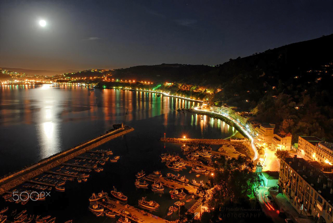 Nikon D200 sample photo. Under the moonlight photography
