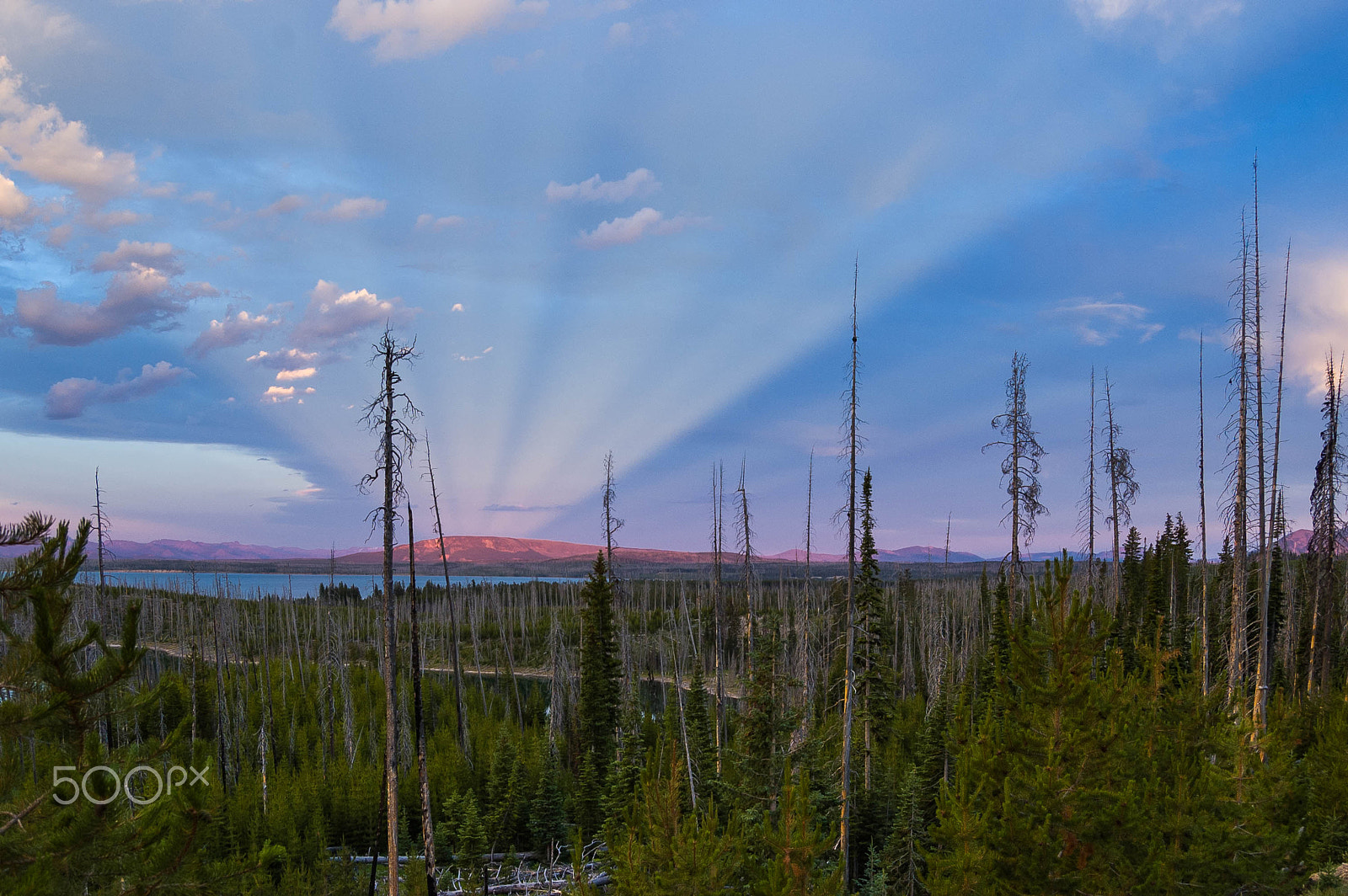 Nikon D70 sample photo. Anticrepuscular rays photography
