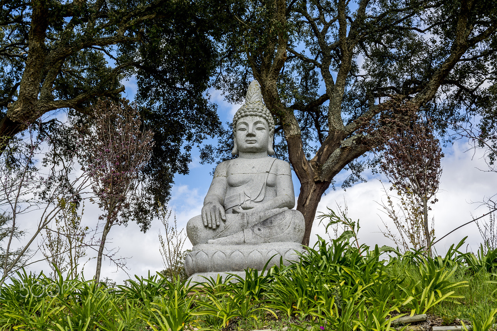 Nikon D7100 sample photo. Wonderful architecture at a buddha park, portugal photography