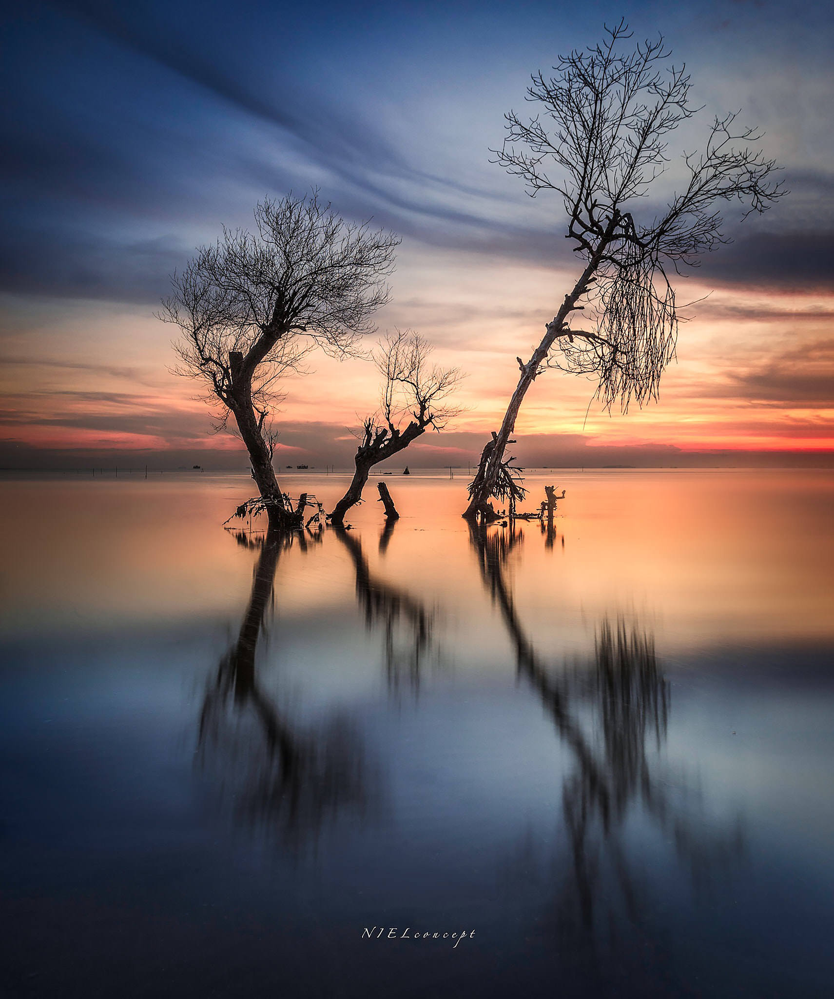 Sony a7 II + 17-40mm F4 sample photo. Deadtreedancing photography