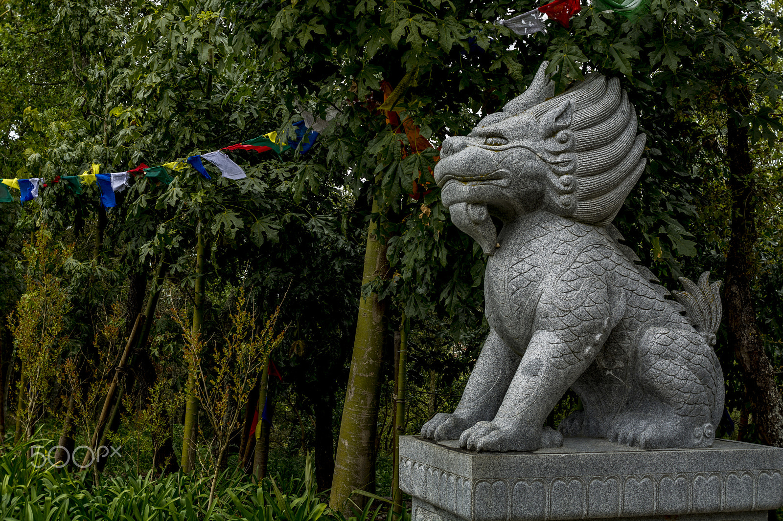 Nikon D7100 sample photo. Wonderful architecture at a buddha park, portugal photography