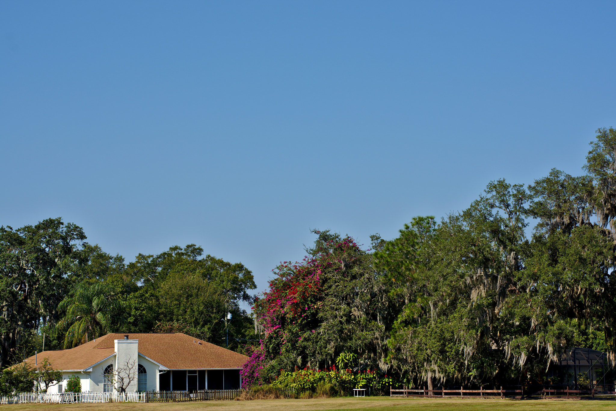 Manual Lens No CPU sample photo. November colors in florida i photography