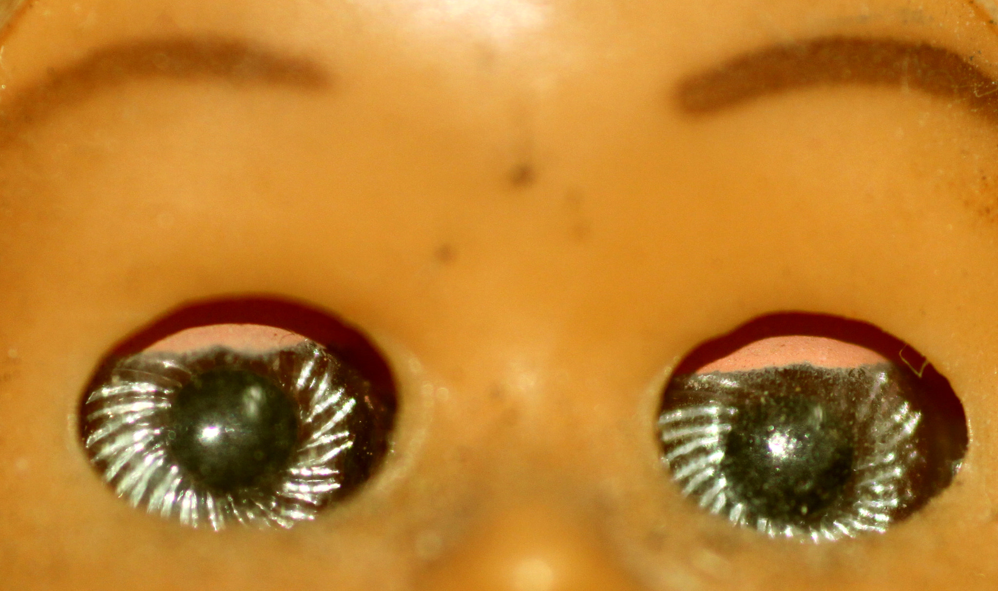 Canon EF 100mm F2.8 Macro USM sample photo. Img photography