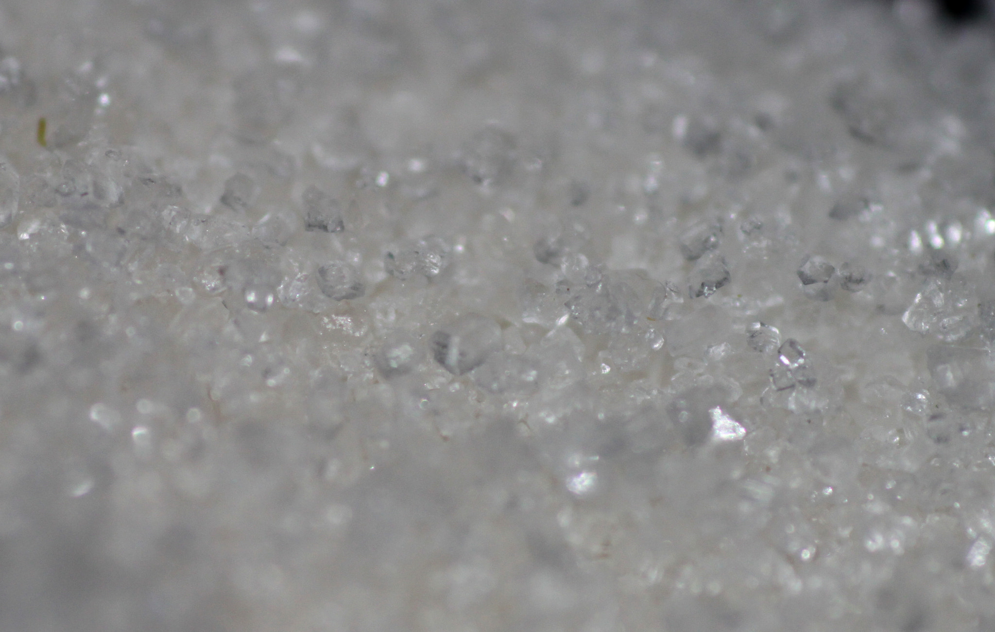 Canon EF 100mm F2.8 Macro USM sample photo. Img photography