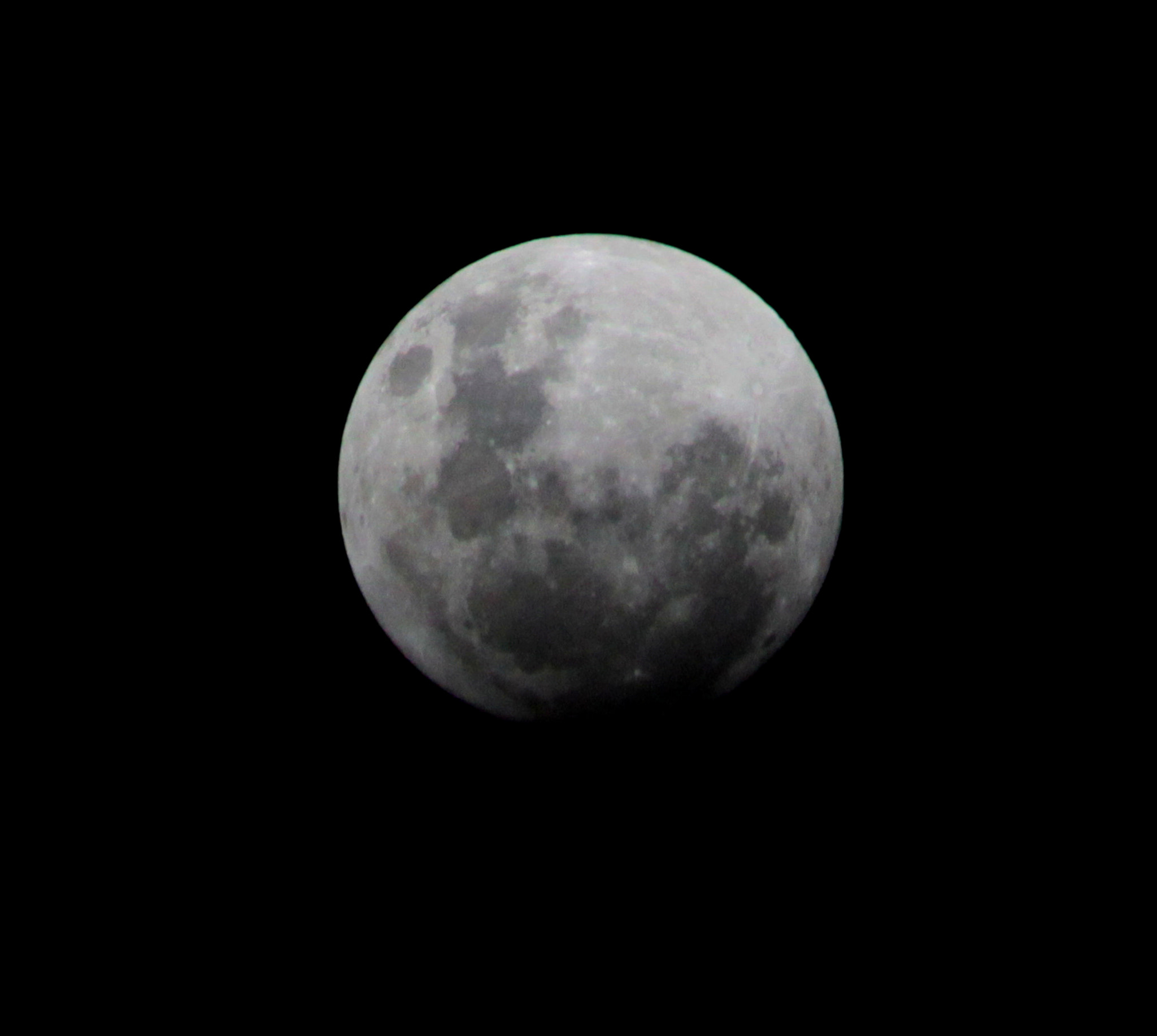 Canon EF 100-300mm F4.5-5.6 USM sample photo. Img photography