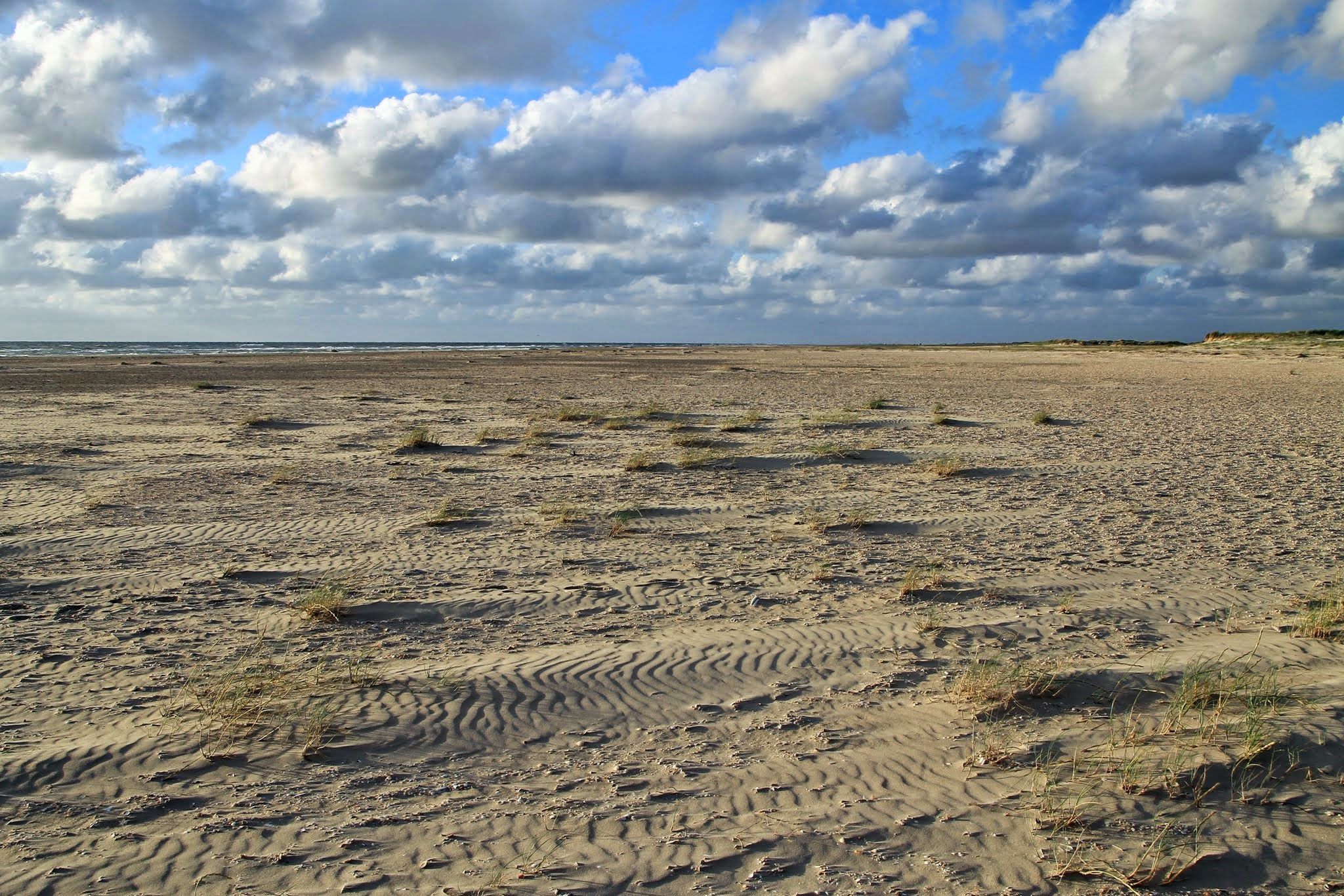 Sigma 18-250mm F3.5-6.3 DC OS HSM sample photo. Beach desert photography