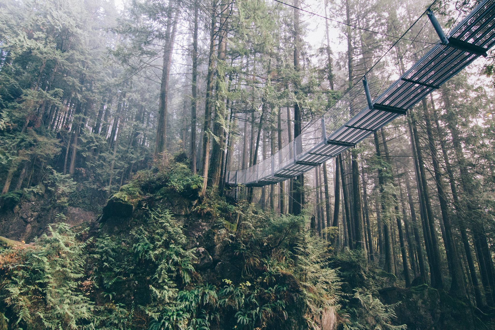 Sigma 10-20mm F3.5 EX DC HSM sample photo. Suspended | a path to new heights photography
