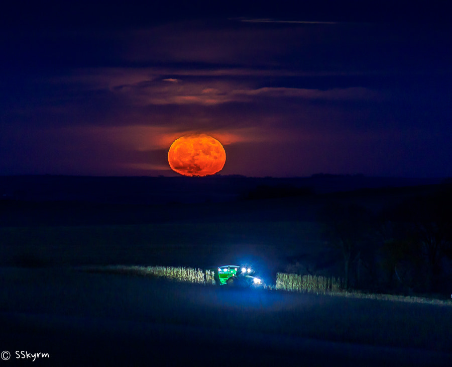Canon EF-S 55-250mm F4-5.6 IS sample photo. Harvest moon photography