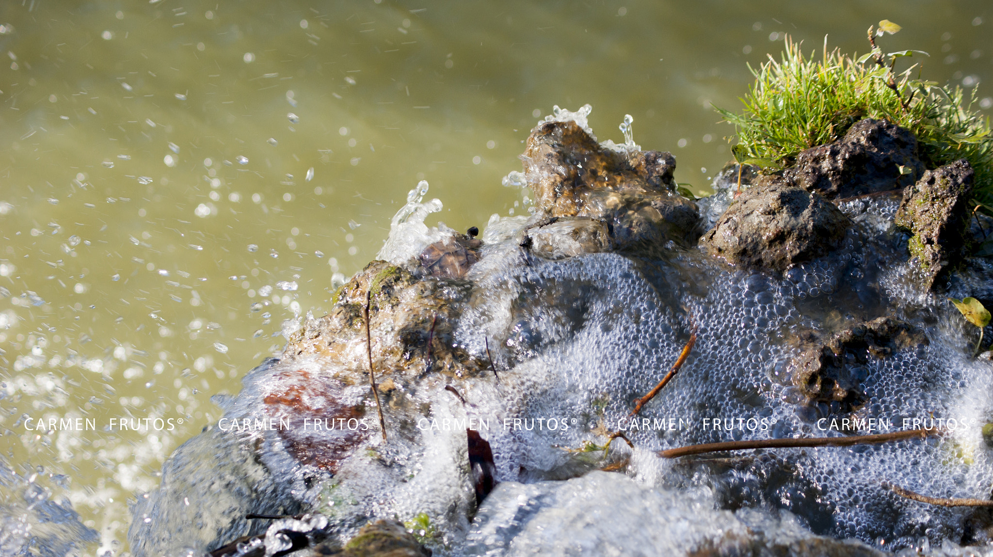 Sony Alpha DSLR-A380 sample photo. Splash ! photography