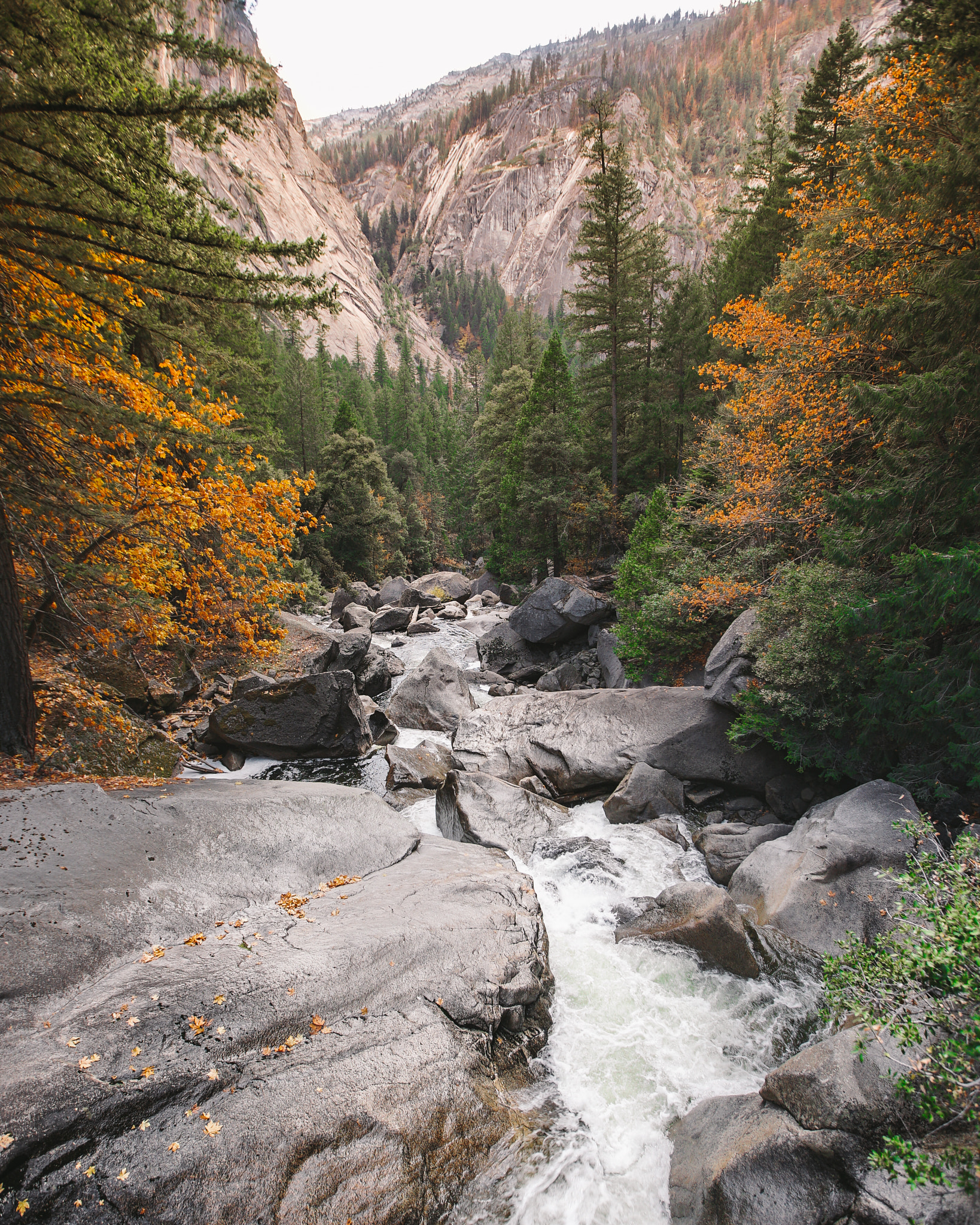 Sony a7S II + 16-35mm F2.8 sample photo. Yosemite falls photography