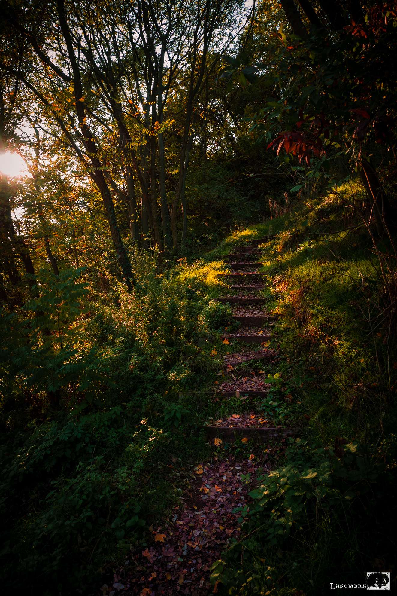 Olympus OM-D E-M10 sample photo. The stairs photography