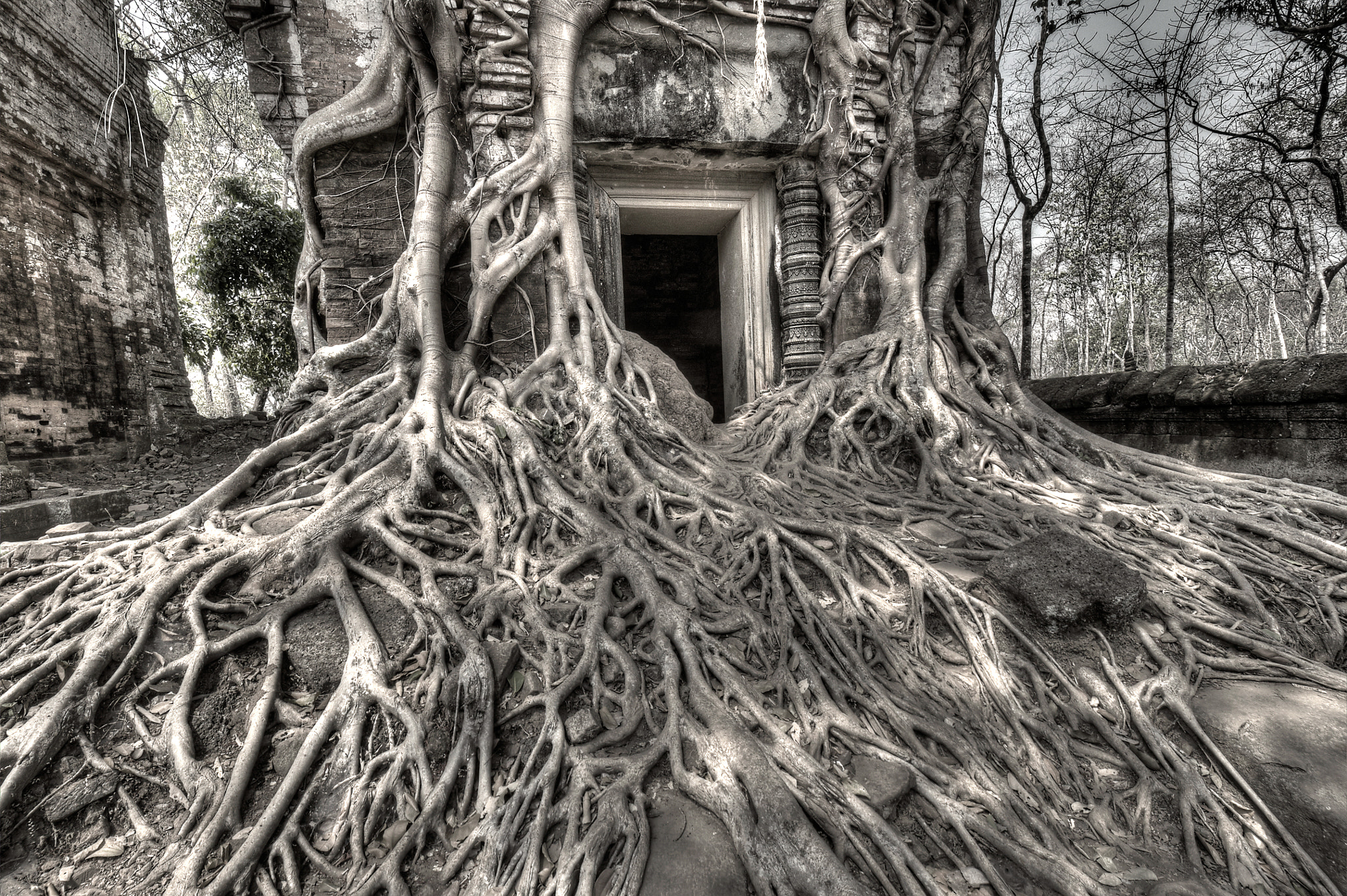 Nikon D90 sample photo. Angkor temple photography