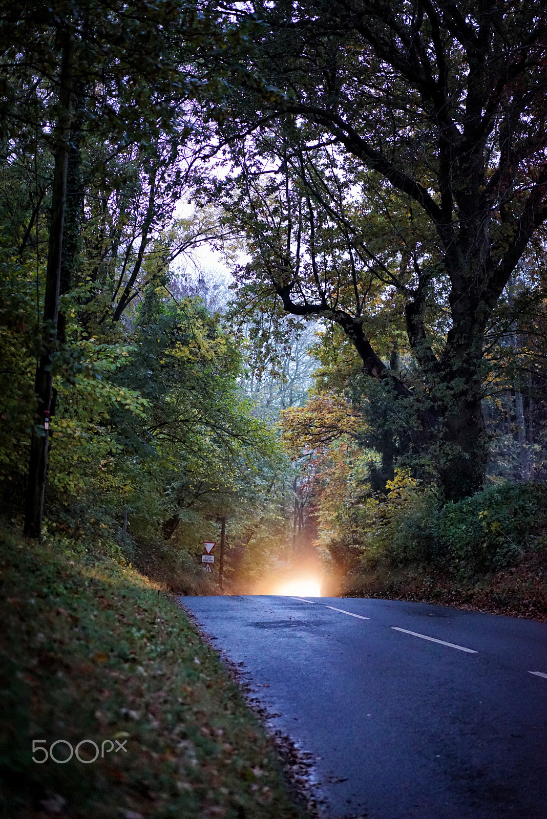 Sony a7R + Sony Sonnar T* FE 55mm F1.8 ZA sample photo. Coming over the hill photography