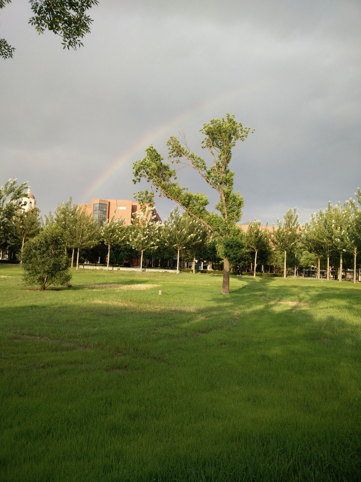OnePlus ONE sample photo