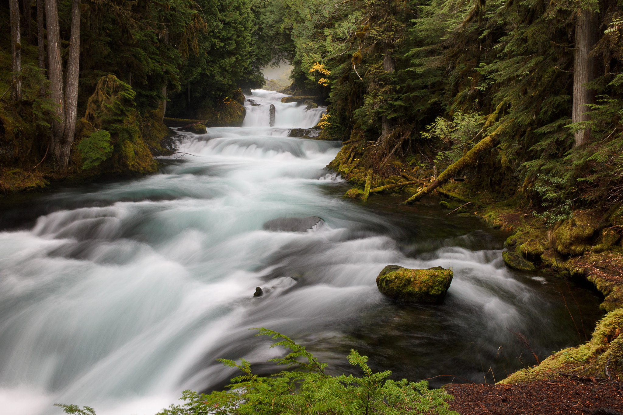 Canon EF-S 18-55mm F3.5-5.6 II sample photo. Mckenzie river photography