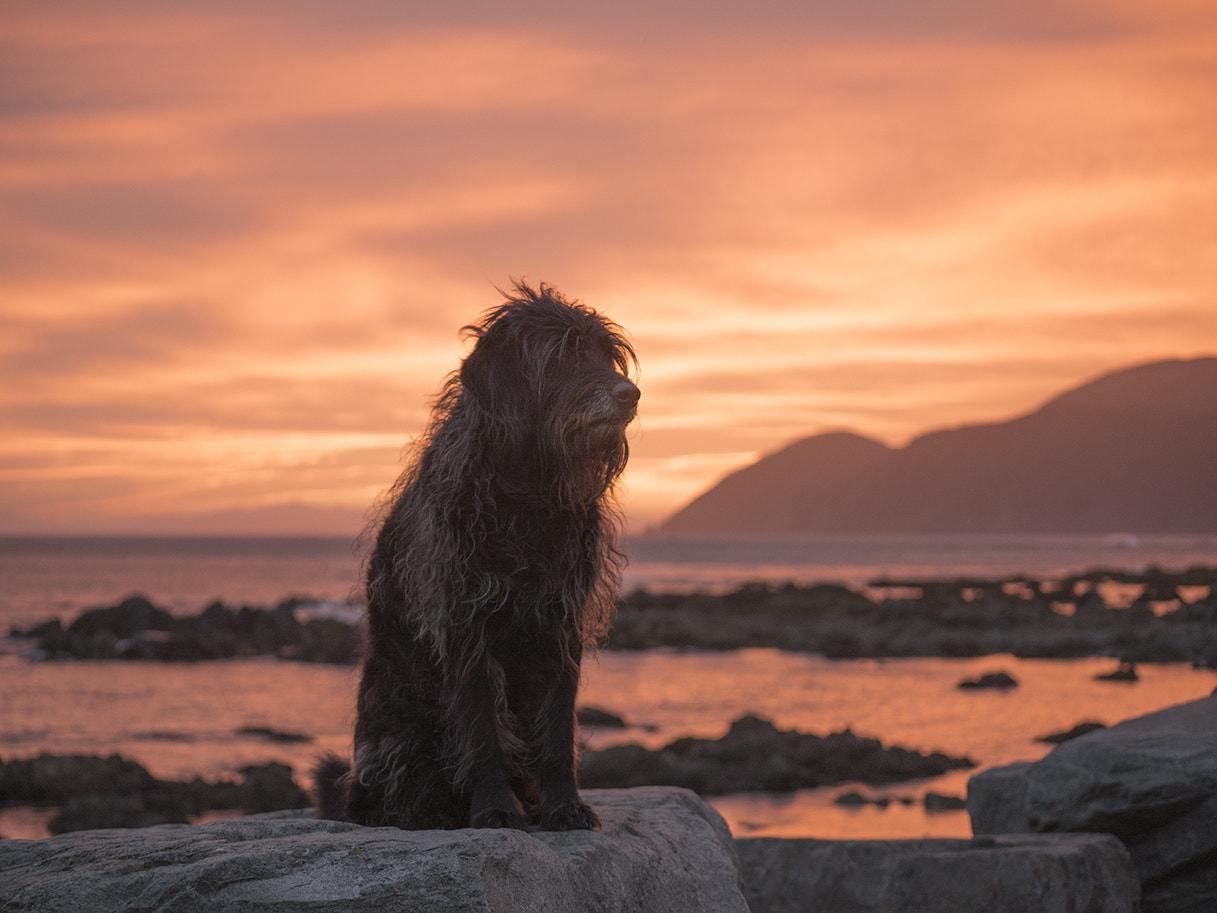 Panasonic Lumix G X Vario 35-100mm F2.8 OIS sample photo. Tahu sunset ib mh p photography