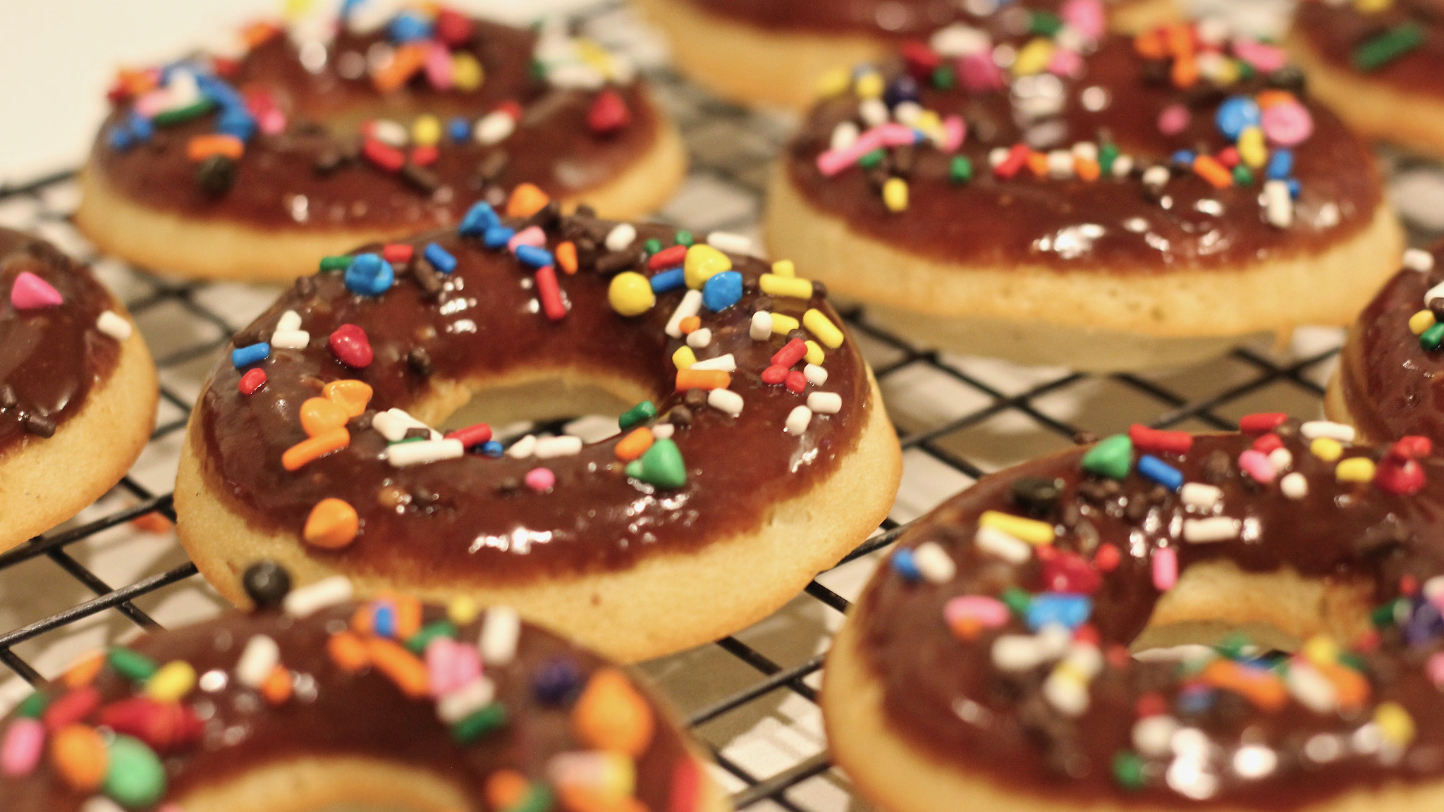Canon EOS 550D (EOS Rebel T2i / EOS Kiss X4) sample photo. Donut sprinkles photography