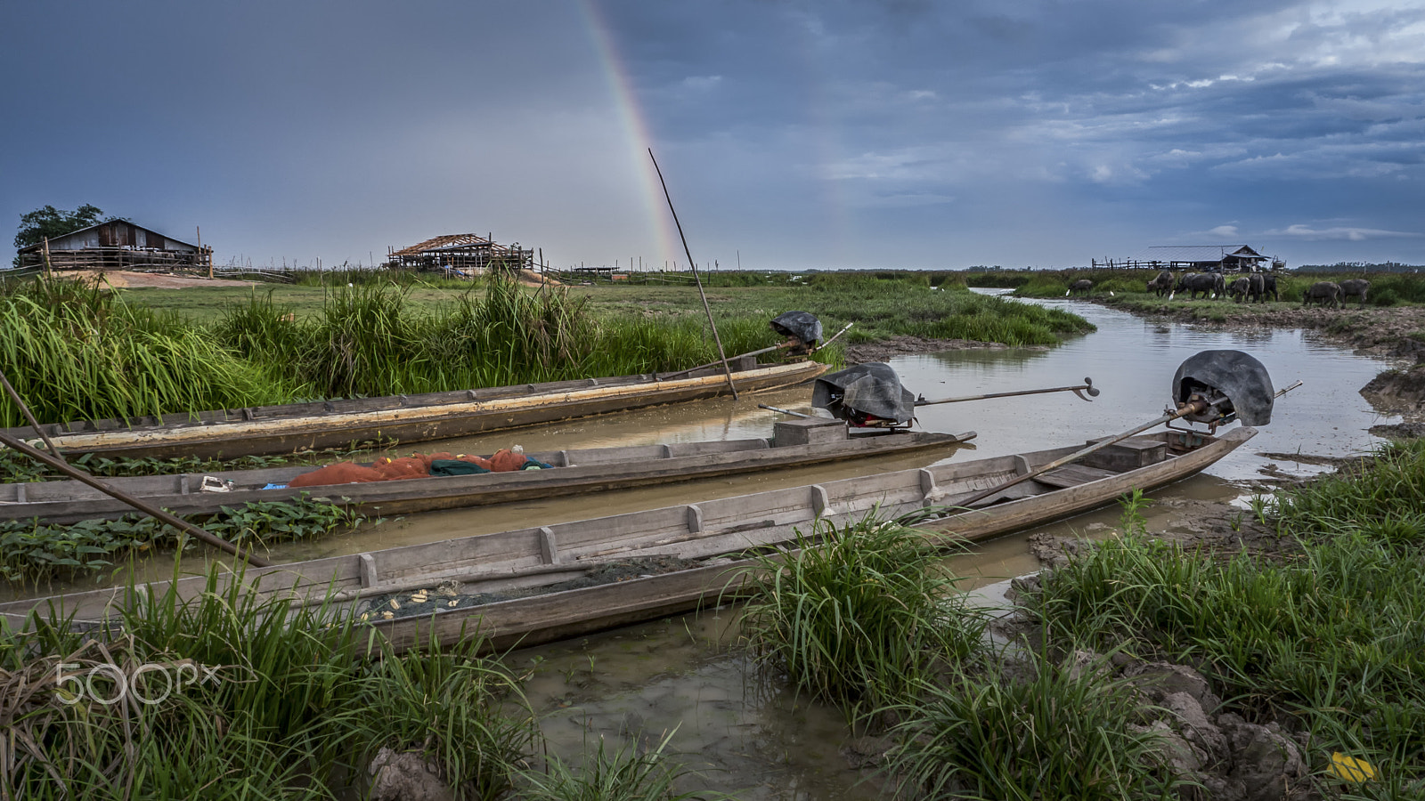 Olympus OM-D E-M10 sample photo. Rainbow photography