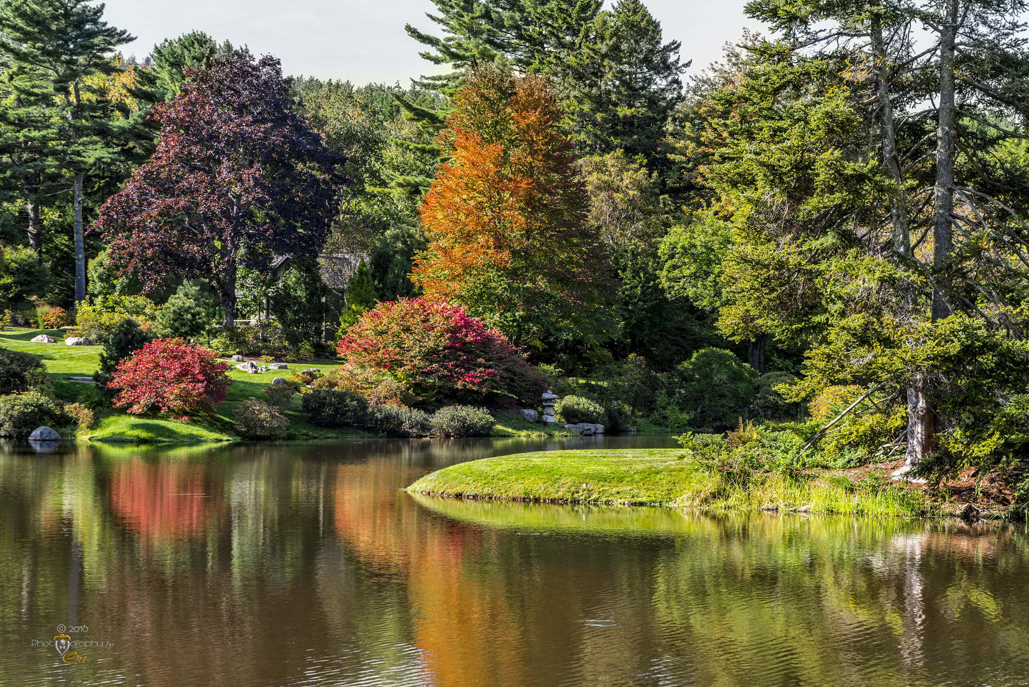 Nikon D800 sample photo. Asticou azalea garden, east harbor, maine photography