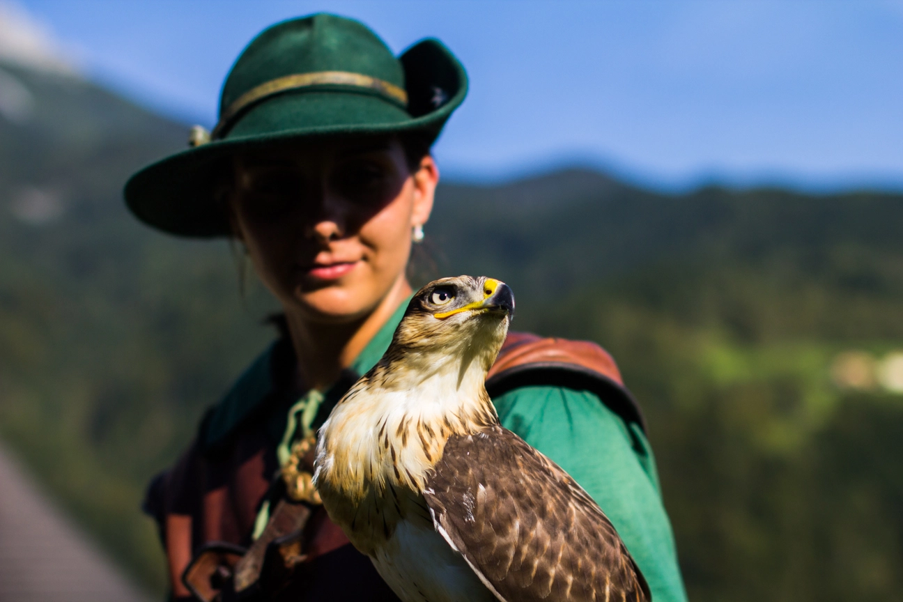 Sigma 50mm F1.4 EX DG HSM sample photo. Falconer and falcon photography