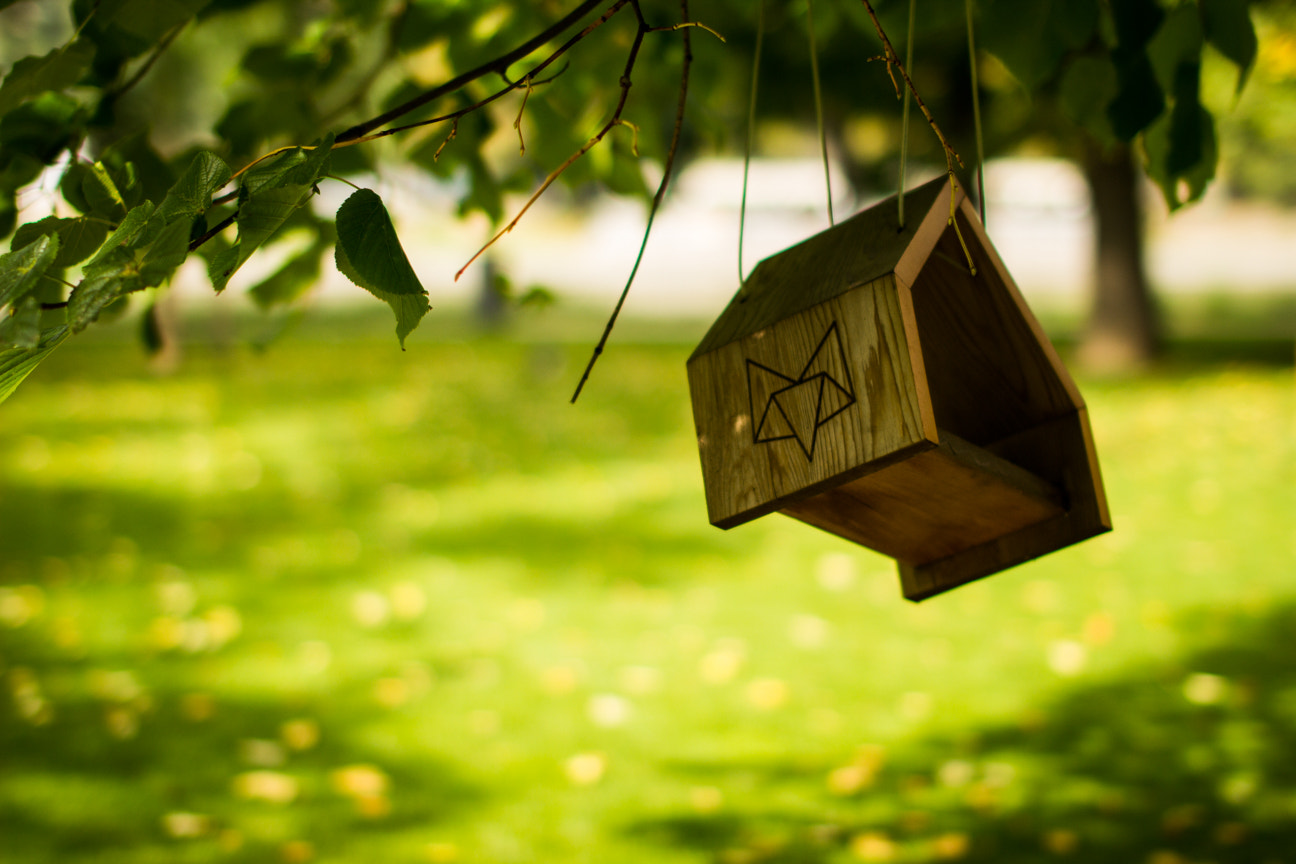 Sigma 50mm F1.4 EX DG HSM sample photo. Img photography