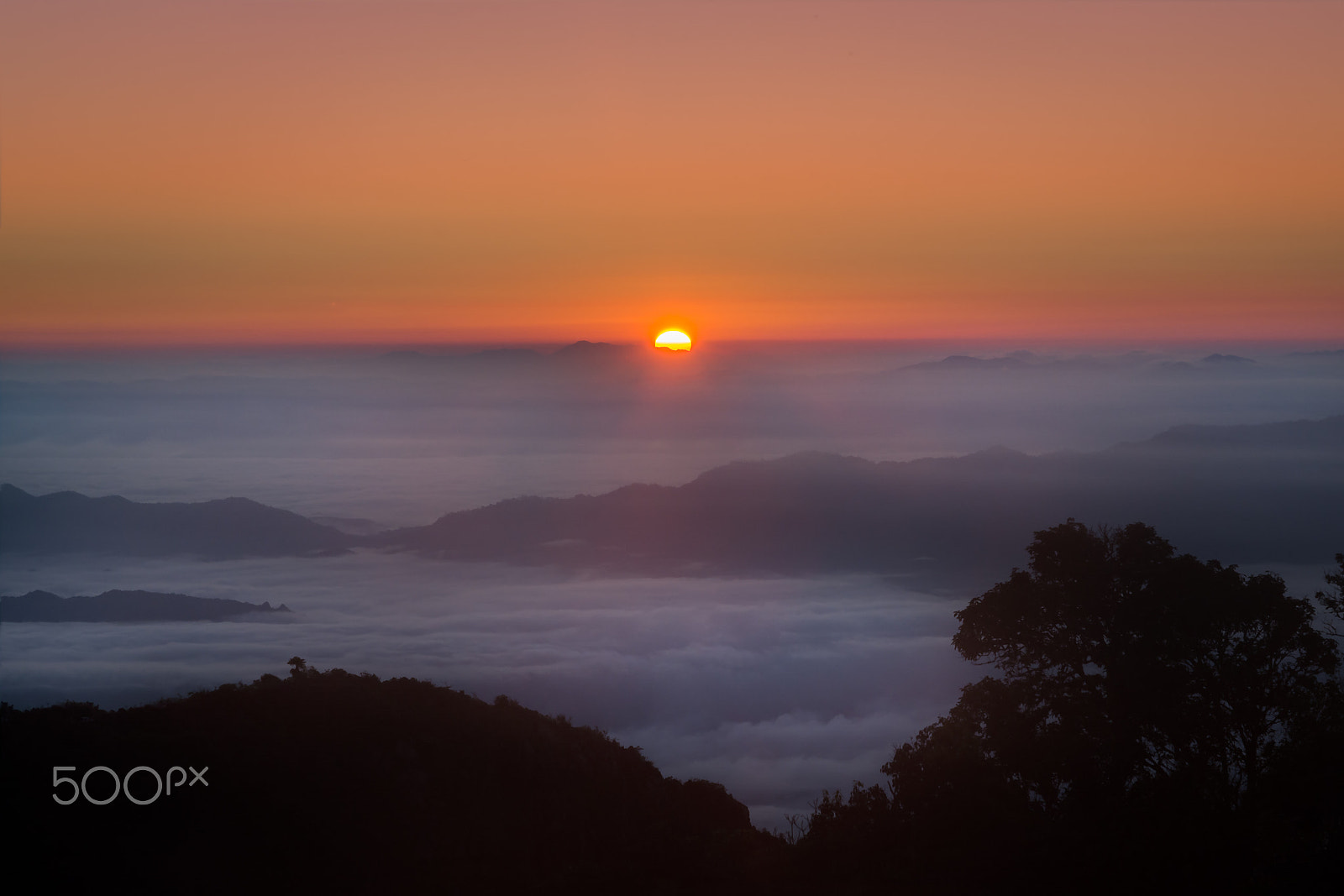 Nikon D5200 + Sigma 17-70mm F2.8-4 DC Macro OS HSM | C sample photo. Mountain mist in sunrise. photography