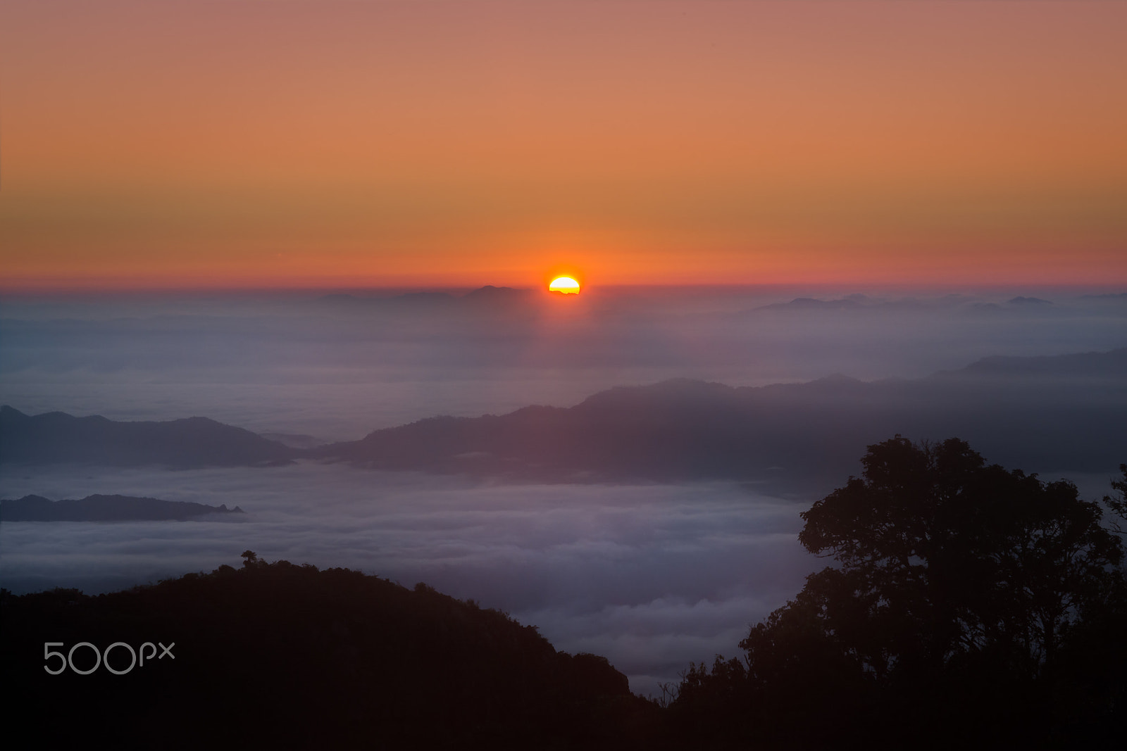 Sigma 17-70mm F2.8-4 DC Macro OS HSM | C sample photo. Mountain mist in sunrise. photography