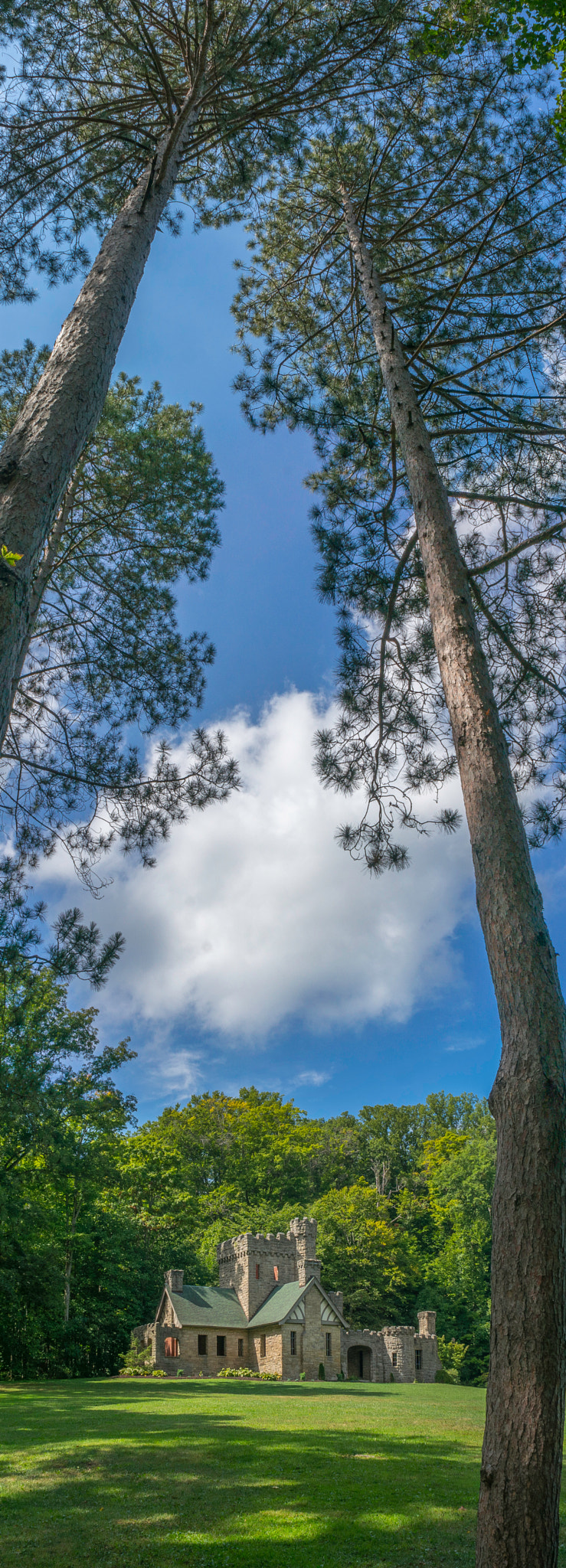 Sony Alpha NEX-5T sample photo. Squires castle vertical summer panoramic photography